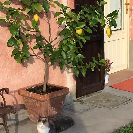 Casa de Campo Agriturismo Il Pettirosso