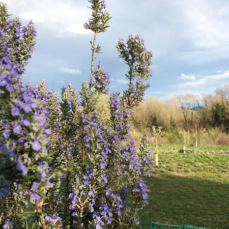 Agriturismo Il Pettirosso