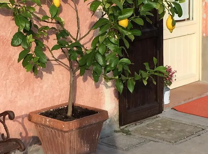 Kır Evi Agriturismo Il Pettirosso