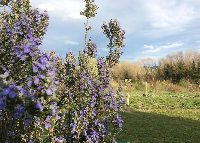 Agriturismo Il Pettirosso