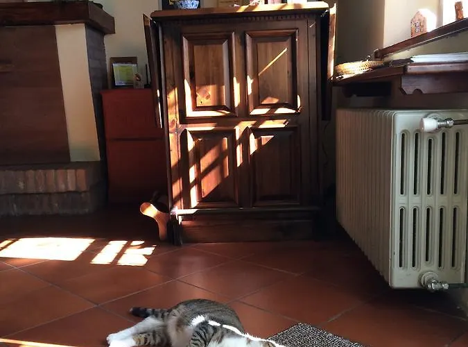 Agriturismo Il Pettirosso * Forlì